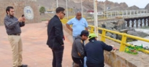 BORDEWEB-704x318 [320x200]