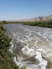 16298884_1801952173391083_5433687465303231970_n [320x200]