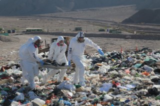 GBM_0021 (Large) [320x200]