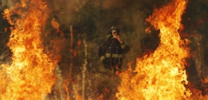 CAUQUENES  Combate incendio forestal en la Población Loyola