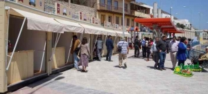 paseoweb-704x318-compressed