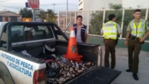 IMG-20170329-WA0023 [320x200]