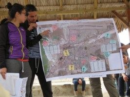 IMG_0425 [320x200]-compressed