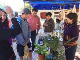 Día de la Tierra en Vallenar (5) [320x200]-compressed