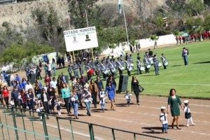 IMG_5487 [320x200]-compressed