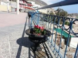 20170612_122306 [320x200]-compressed