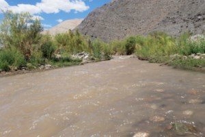 Imagen Manflas [320x200]-compressed