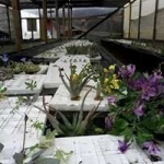 2 (Copiar)-compressed