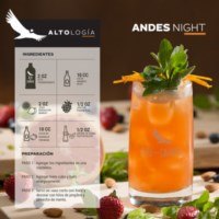 Andes_Night_1 (1) [320x200]-compressed