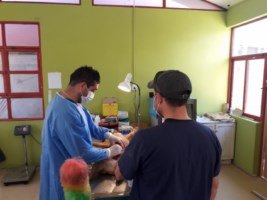 20171002_115309 [320x200]-compressed