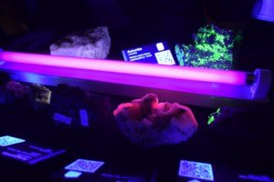 Museos Medianoche en Museo Mineralogico05 [320x200]-compressed