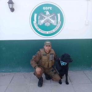 20171026_182317-compressed