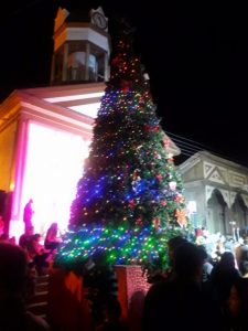 20171201_220237 [640x480]-compressed