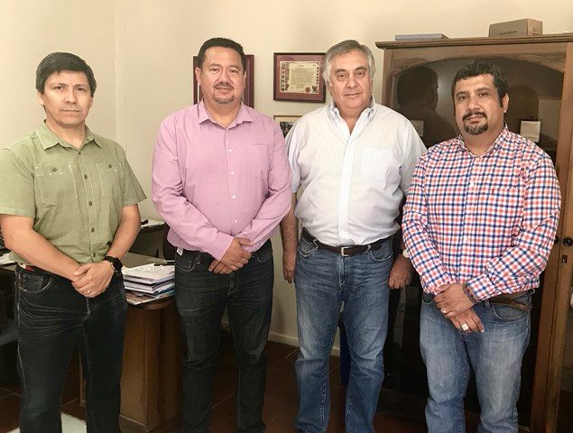 IMG_4455 (Copiar)-compressed