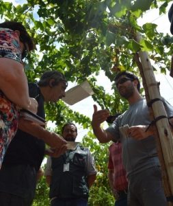 17 (426x640)-compressed