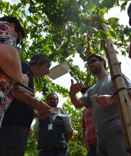 17 (426x640)-compressed