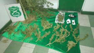 2017-04-17-PHOTO-00000396-compressed