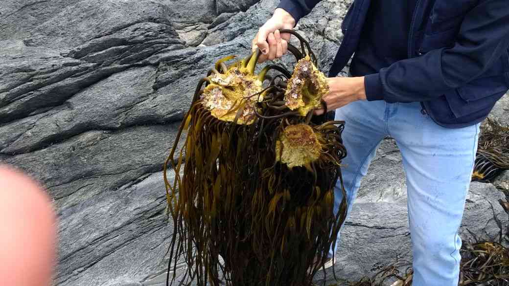 IMG-20180112-WA0012-compressed