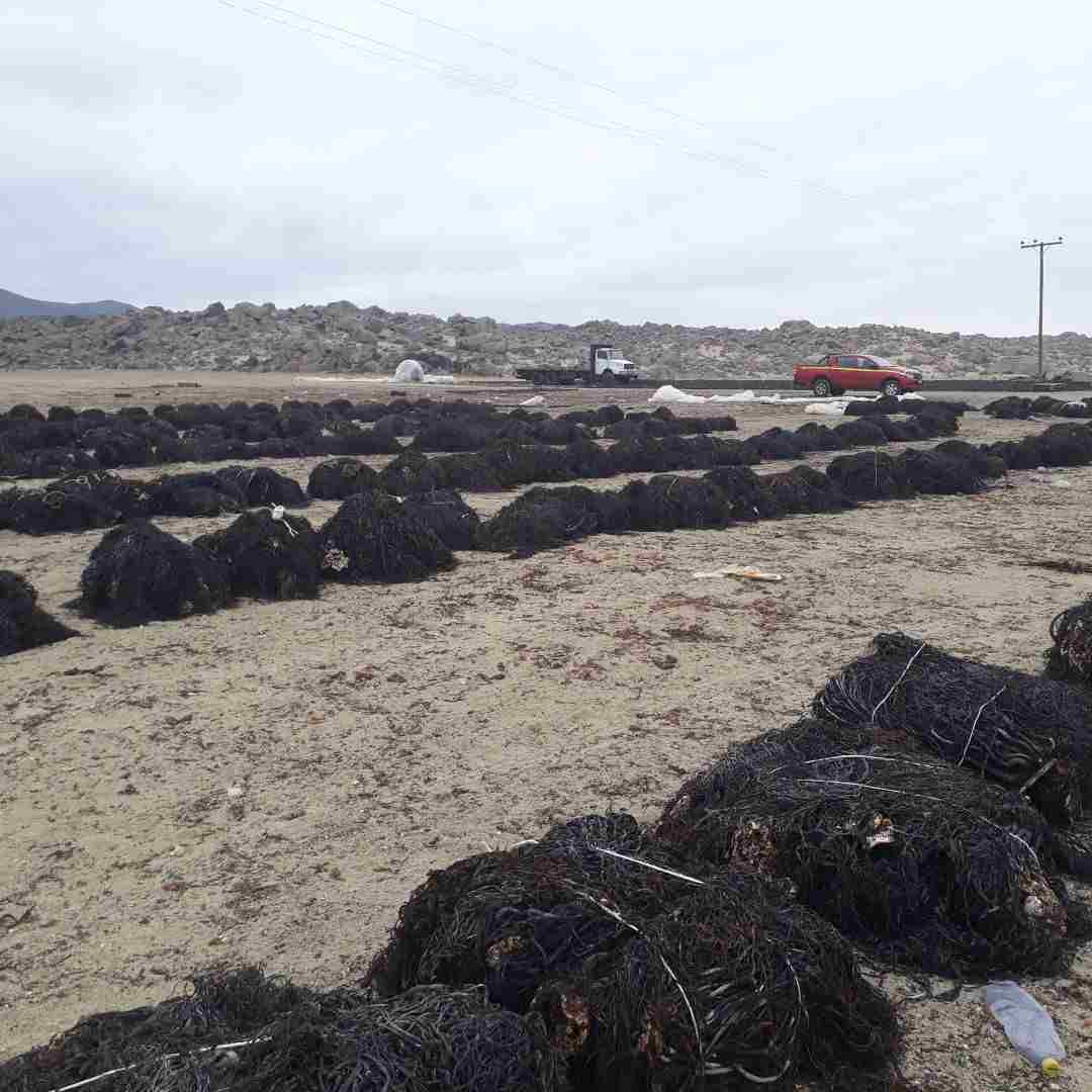 IMG-20180117-WA0034-compressed