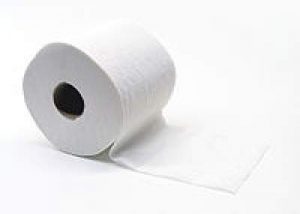 200px-toiletpapier_gobran111_1