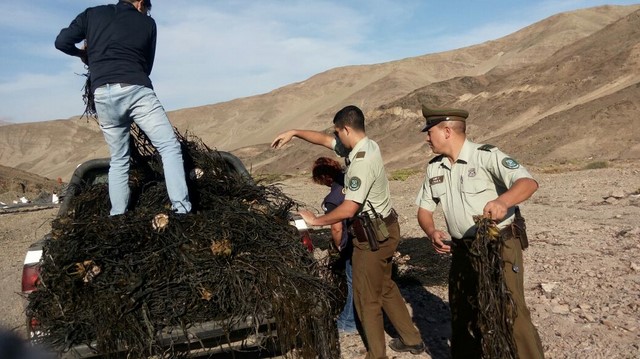 IMG-20180131-WA0076 (Copiar)