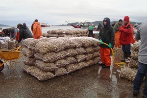 quellon jul 28 (29) (Copiar)