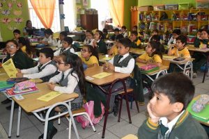 DSC_0009.JPG1 (Copiar)