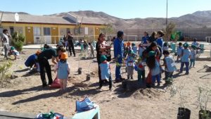 PLANTANDO JARDIN BLANCA NIEVES 2 [640x480]