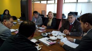 reunión seremi y consejo comunal