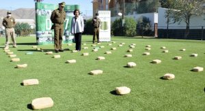 DSC7243-1-660x359 (1)