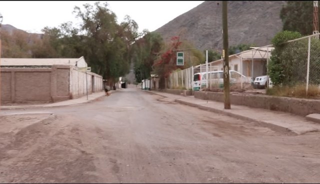 LOS LOROS 1 [640x480]