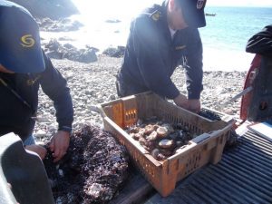 IMG-20180711-WA0076 (Copiar)