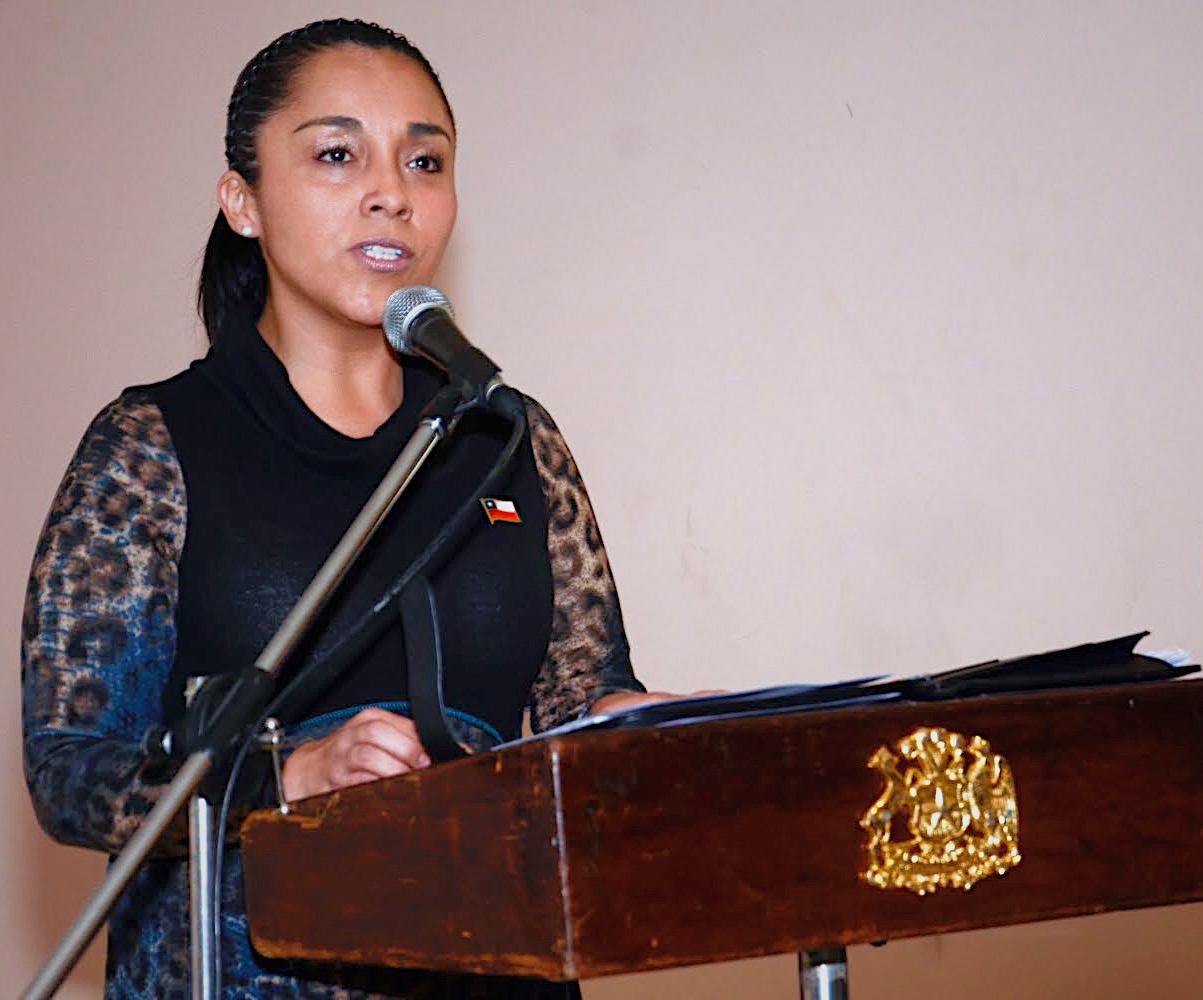 Sofía Ávalos, Seremi de Gobierno