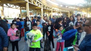 Yo Corro con mi Mascota (3)