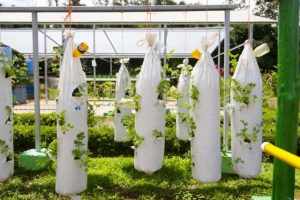 agricultura del reciclaje [640x480]