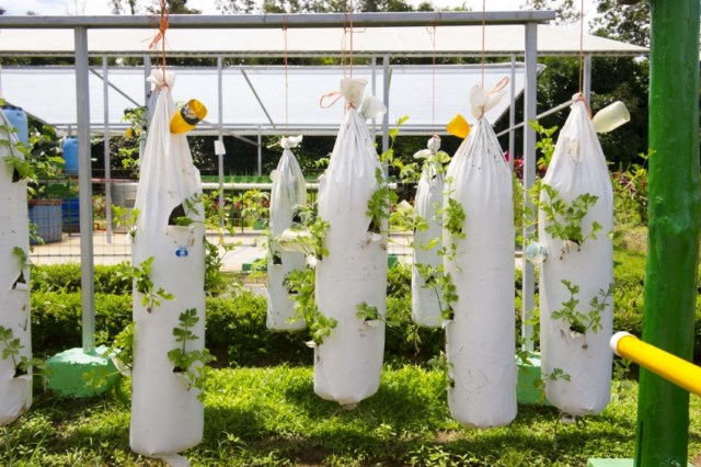 agricultura del reciclaje [640x480]