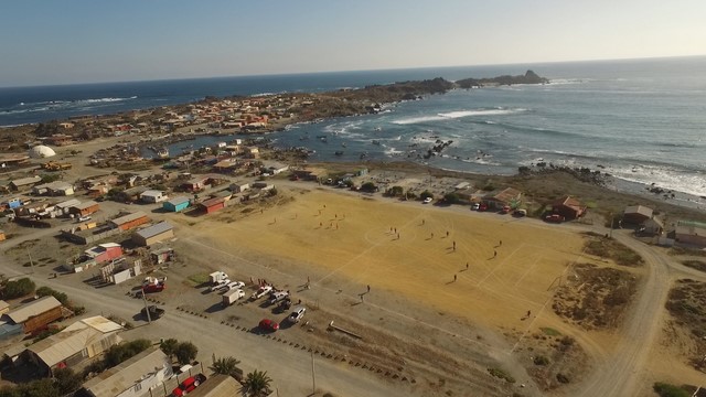 Chañaral de Aceituno - Amateur (1) (Copiar)