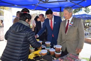 Día del Campesino en Vallenar 2018 (11) (Copiar)