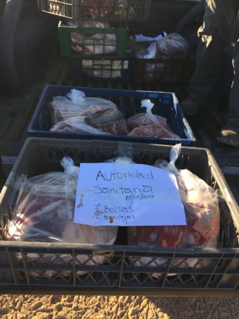 IMG-20180818-WA0003 [640x480]