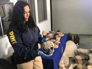 WhatsApp Image 2018-09-27 at 16.12.53 [640x480]