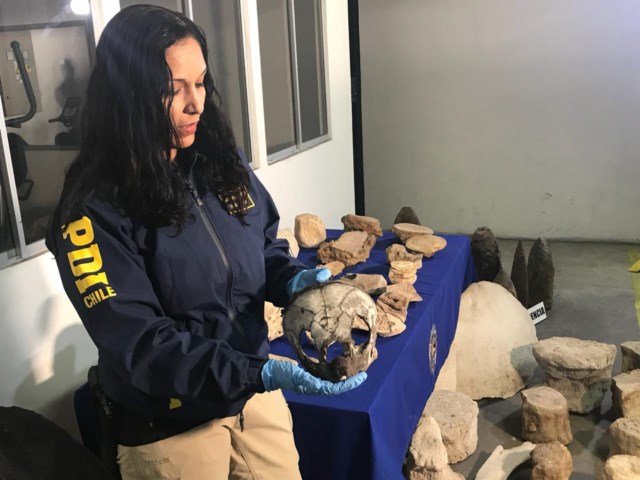 WhatsApp Image 2018-09-27 at 16.12.53 [640x480]