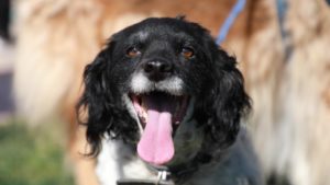 WhatsApp Image 2019-09-03 at 11.14.17 (4)