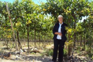 Pdta-APECO-Lina-Arrieta-Herrera