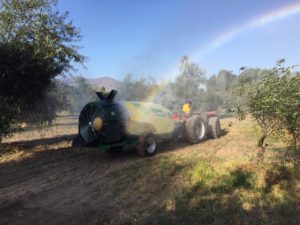 programa agricultores 3