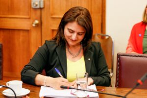 SOFIA CID - DEFENSOR PYMES