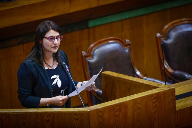 sofia cid - falsos exonerados