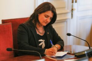 sofia cid - robo placa