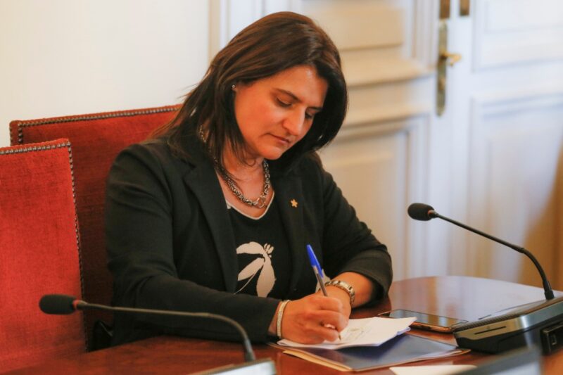 sofia cid - robo placa