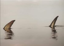 IMG-20200712-WA0001 (1)