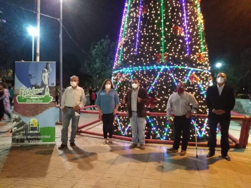 Encendido árboles navideños (7)